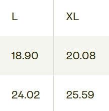 Youth/White Need Money For Chi Hoodie